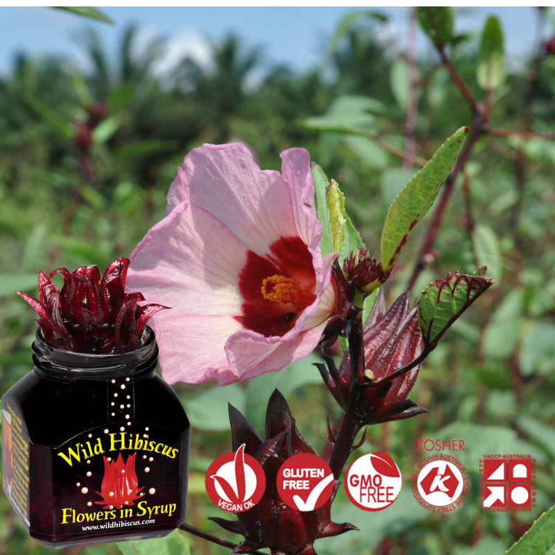 Wild Hibiscus Flowers in Syrup | Gingle Bells Gin