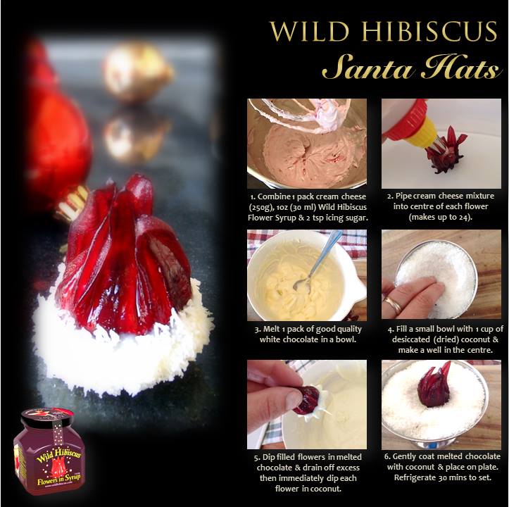 Wild Hibiscus Flowers in Syrup | Gingle Bells Gin