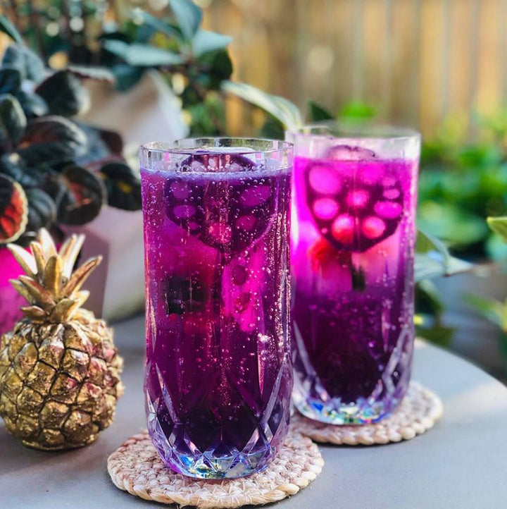 Lotus Root Slices Trio - 12 Slices per Jar | Gingle Bells Gin