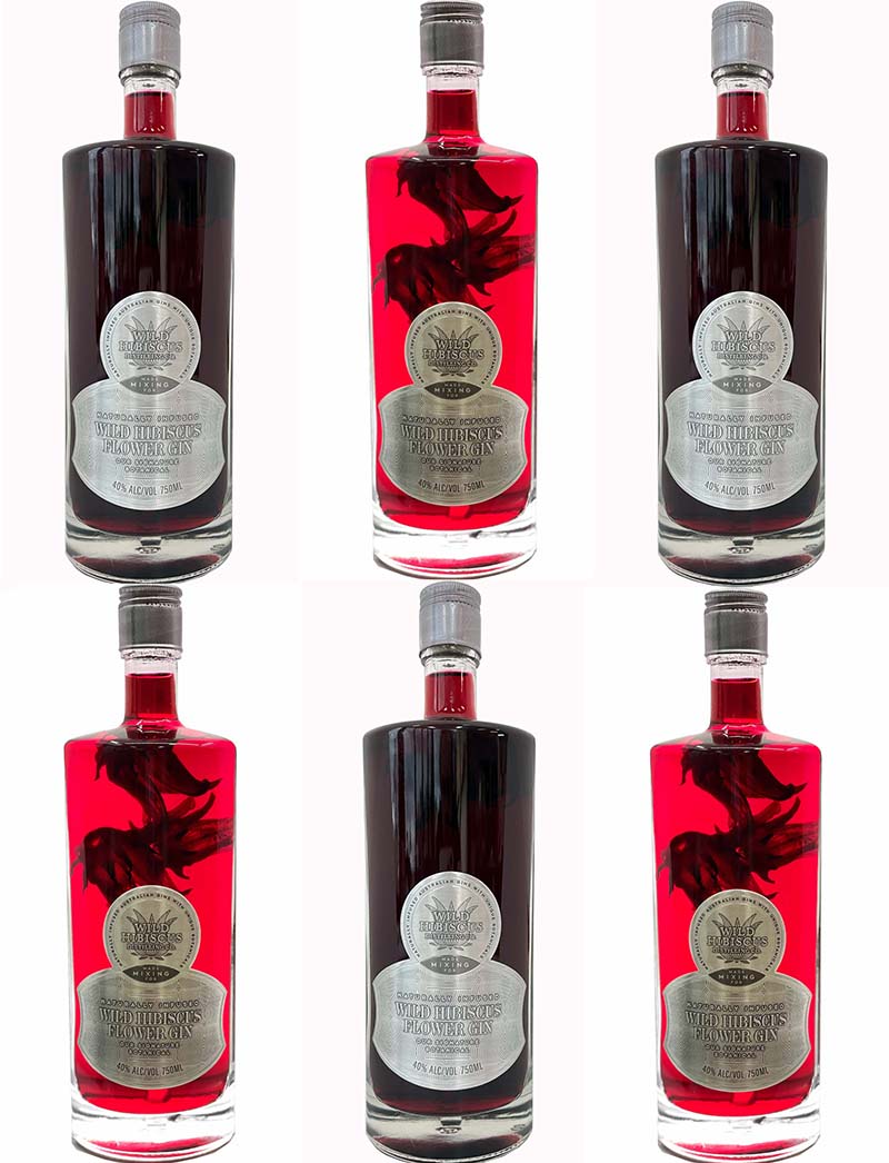 Wild Hibiscus Flower & Ginger Gin Case Buy 5 get 1 FREE!