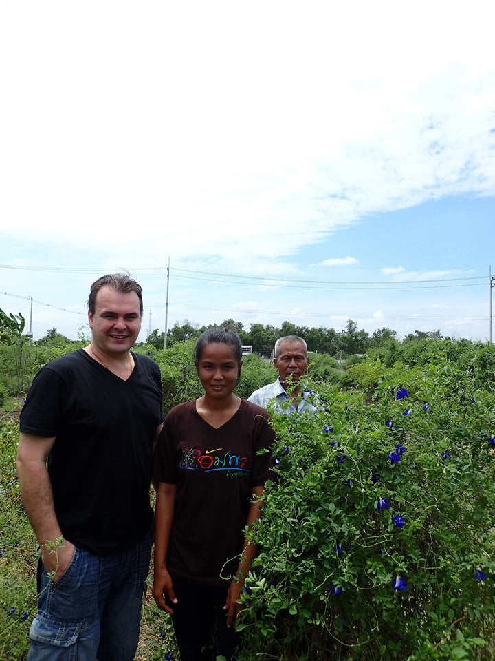 Flower Extract - b'Lure Butterfly Pea
