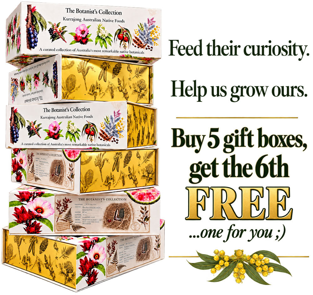 The Botanist's Collection - Australian Native Foods Gift Box