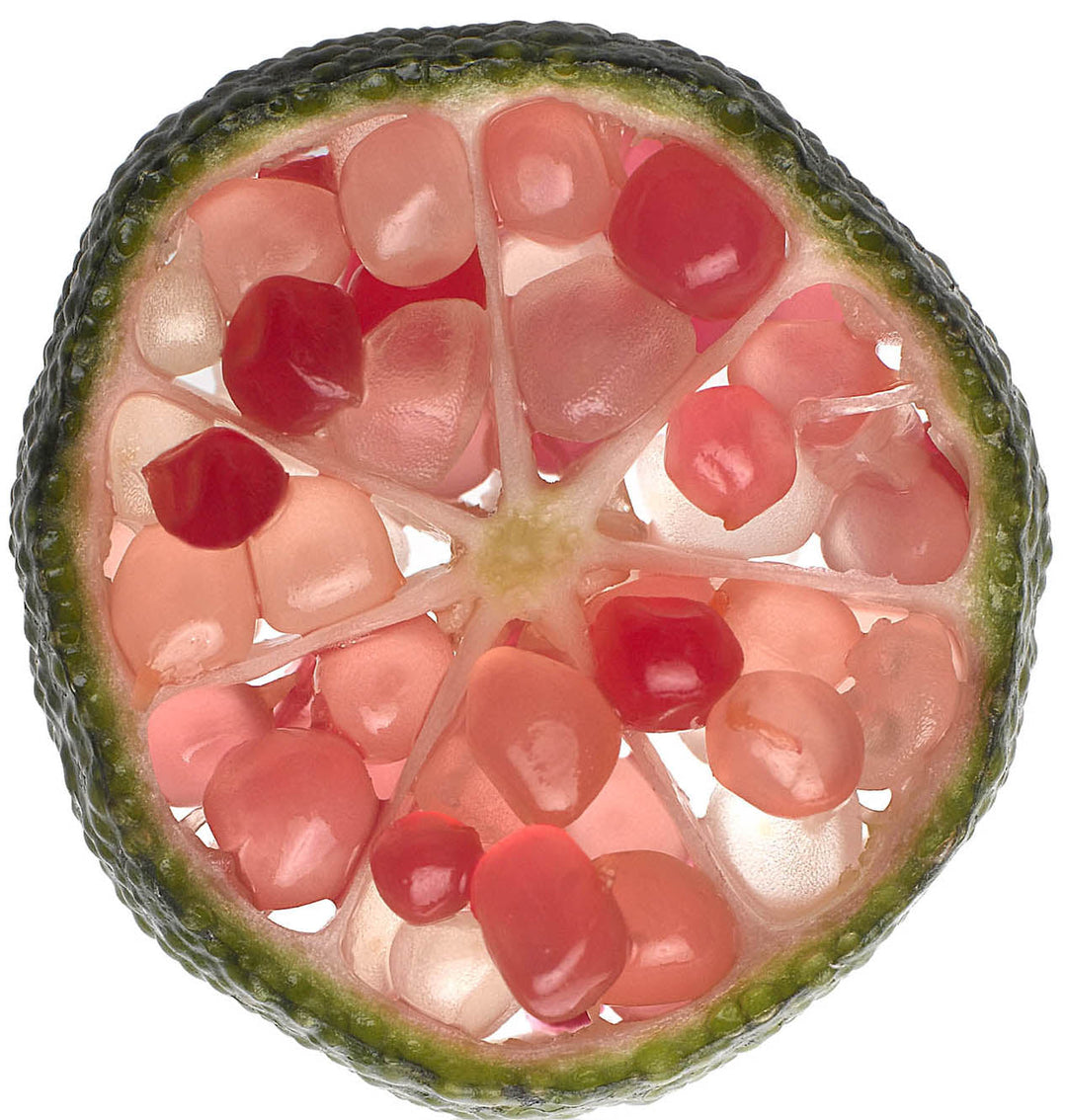 Fresh Pink & Green Finger Limes 200g Punnet