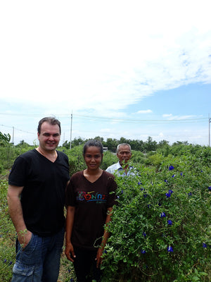Flower Extract - b'Lure Butterfly Pea