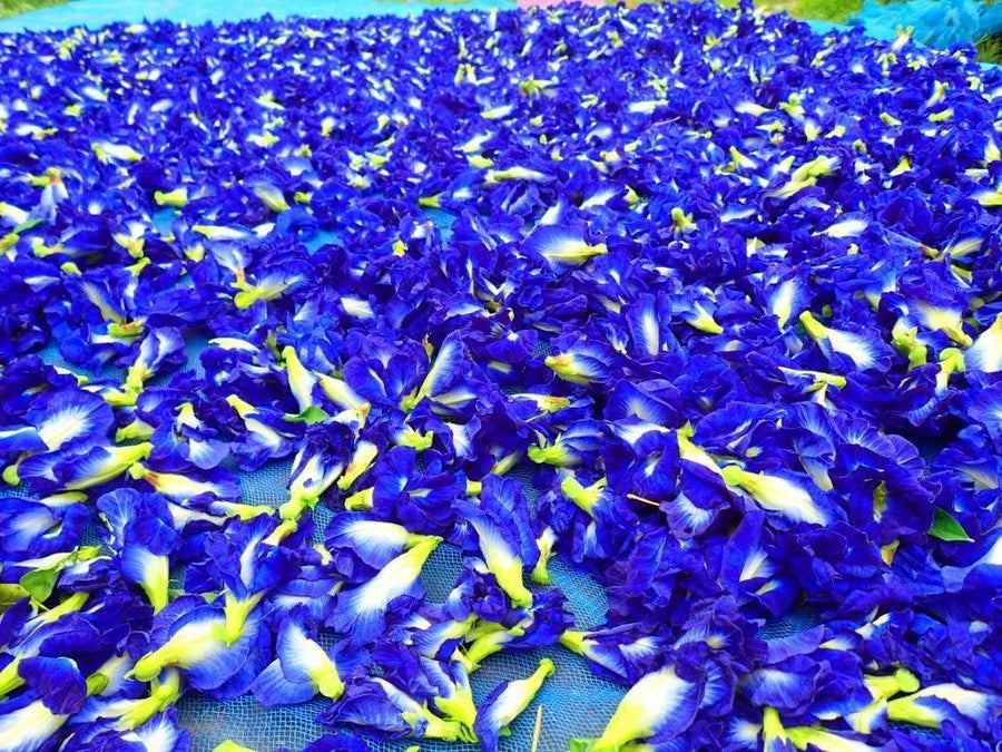 Whole Butterfly Pea Flowers 57g